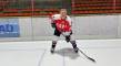 Stefan Siegl Eishockey